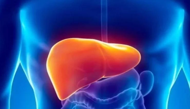 कोरोनाकाल में जरूरी हैं लीवर की सेहत, डाइट में शामिल करें ये 4 चीजें