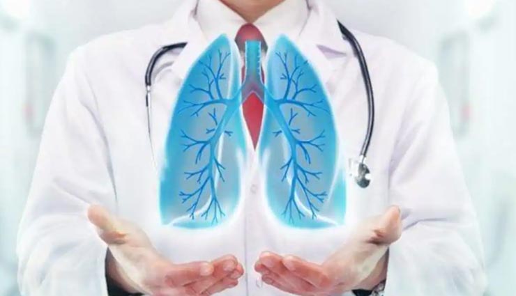 अजवाइन की पत्तियां कर सकती हैं बहुत कमाल, जानें कैसे रख सकती हैं आपको सेहतमंद Health tips,health tips in hindi,ajwain plant benefits,ajwain leaves medicinal benefits