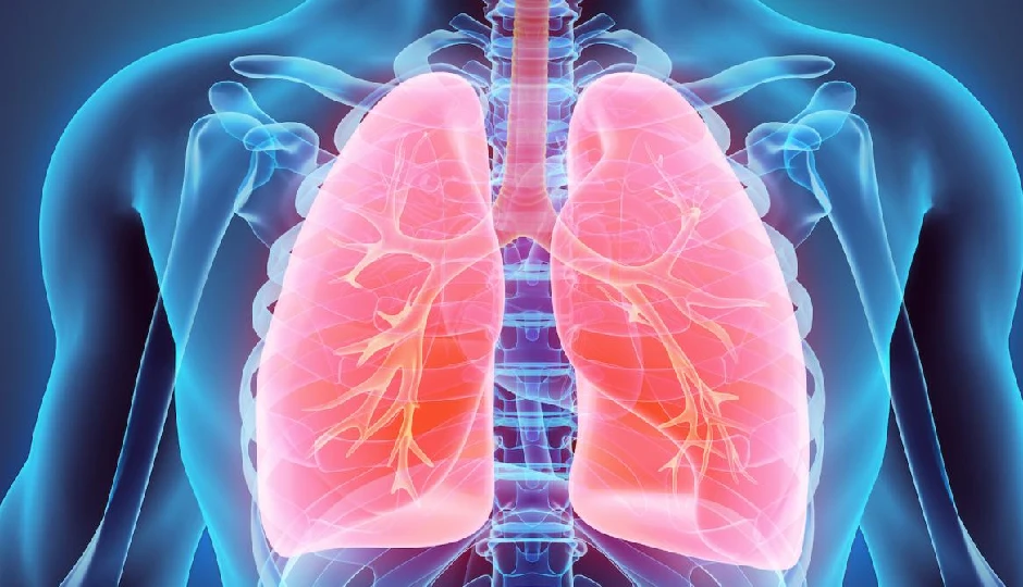 आपकी रसोई में छिपी हैं फेफड़ों को मजबूत बनाने वाली ये तीन चीजें, ज्यादातर लोग इनके बारे में नहीं जानते