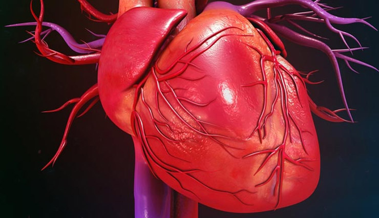 vitamin k,heart,heart problem,vitamin k for heart,health news,health research