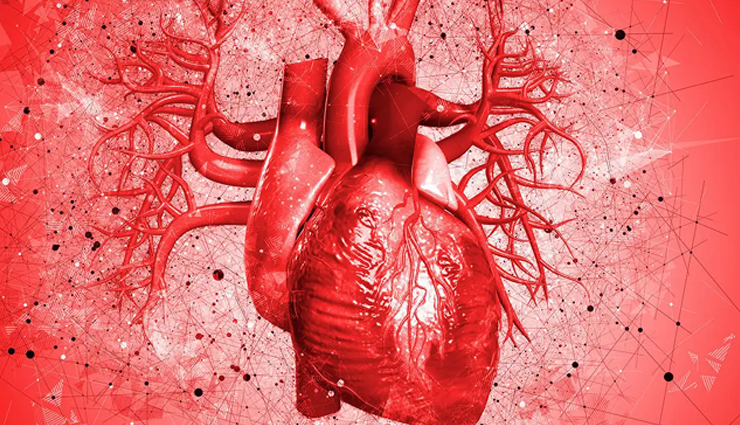 health benefit for red wine,Health tips,healthy living,health news,health news in hindi