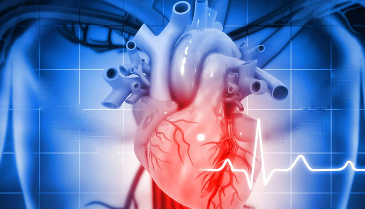 fish oil health benefits,omega-3 benefits,fish oil heart health,fish oil brain function,fish oil joint health,fish oil skin benefits,fish oil immune support,fish oil weight management,fish oil pregnancy benefits,fish oil inflammation reduction,fish oil liver health