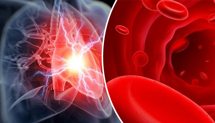 pear benefits,pear health benefits,pear nutrition,pear antioxidants,pear fiber,pear heart health,pear weight management,pear digestive health,pear anti-inflammatory,pear blood sugar,pear bone health