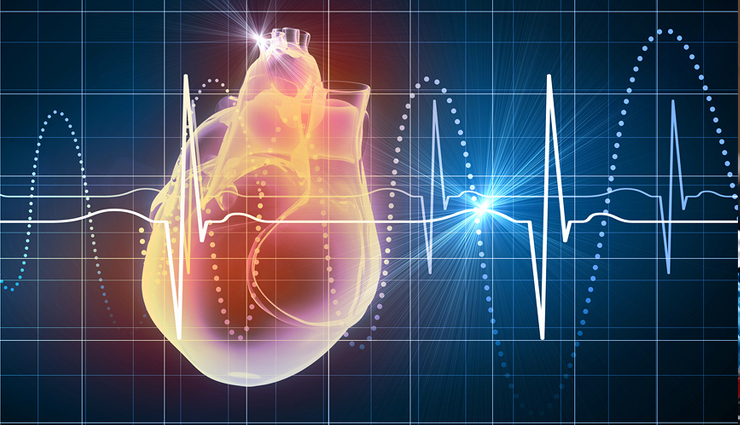 हार्ट की बीमारियां रहेंगी आप से दो गज की दूरी पर, ये 5 सुपर हेल्दी ऑयल करेंगे आपके दिल की रक्षा
