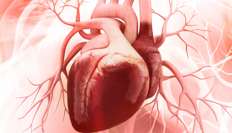 figs,health benefits of figs,figs for good health,healthy food figs,figs for good health,healthy food figs for body,body care,healthy food,healthy living,Health tips