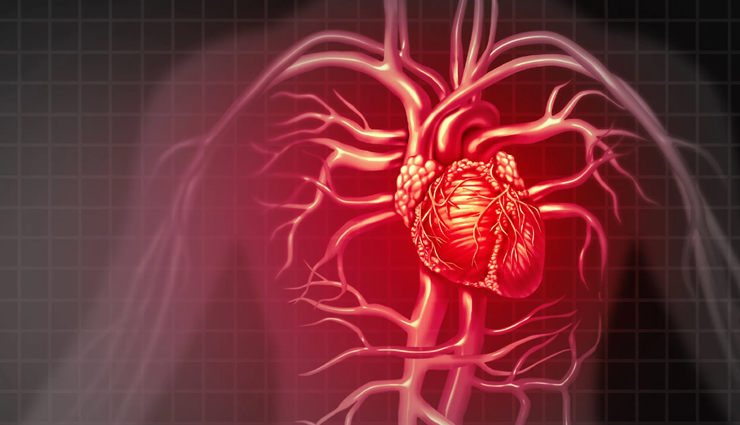 omega 3,health benefits of omega 3,omega 3 good for health,health benefits,healthy food