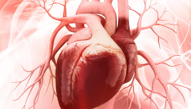 10 Home Remedies To Keep Your Heart Healthy