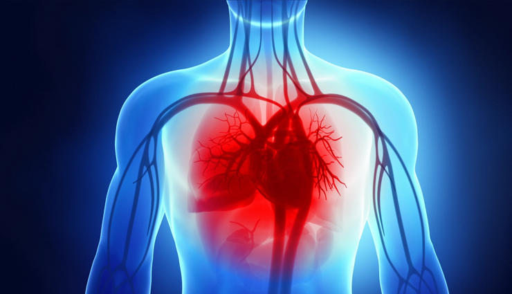 heart diseases,different type of heart diseases,heart care tips,heart care,heart condition,illness of heart,Health,Health tips