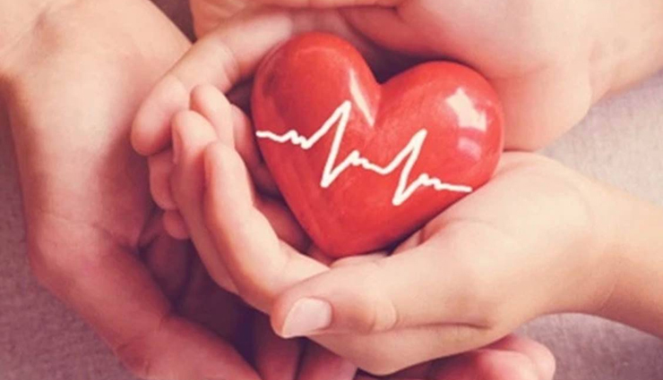 passion fruit,passion fruit about,passion fruit on keto,passion fruit on tree,passion fruit on skin,passion fruit after workout,passion fruit fight cancer,passion fruit around,passion fruit as fertilizer,passion fruit for pregnancy,passion fruit for skin whitening,passion fruit for skin,passion fruit at whole foods,passion fruit before workout,passion fruit during pregnancy,passion fruit during breastfeeding,passion fruit during period,passion fruit during cough,passion fruit during pregnancy advantages,passion fruit during,passion fruit for sleep,passion fruit for anxiety,passion fruit for high blood pressure,passion fruit from seed,passion fruit in india,Health,Health tips