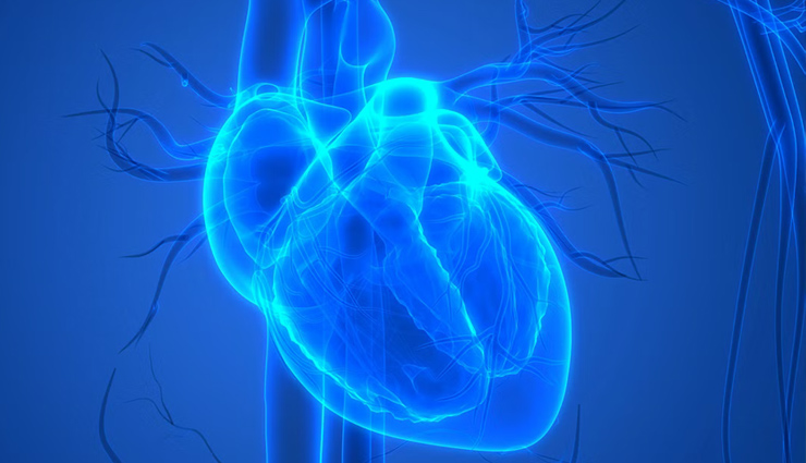 matcha tea benefits,health benefits of matcha,matcha tea nutrition,antioxidants in matcha,weight loss matcha tea,matcha for detoxification,matcha and immune support,matcha tea preparation,matcha health advantages,l-theanine in matcha,improve focus with matcha,matcha for heart health,matcha tea recipes,matcha green tea,benefits of drinking matcha,japanese matcha tea,matcha metabolism boost,matcha tea antioxidants,matcha for skin health,matcha for blood sugar regulation