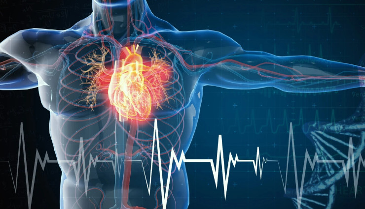 10 Must Try Home Remedies To Boost Heart Health