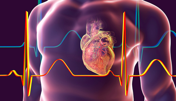 avocado benefits for health,health advantages of avocados,avocado nutrition benefits,avocado for a healthy diet,avocado and its health perks,avocado impact on well-being,avocado and its nutritional value,avocado superfood benefits,benefits of including avocados,avocado role in promoting health,एवोकाडो के स्वास्थ्य फायदे,स्वास्थ्य के लिए एवोकाडो के लाभ,एवोकाडो का पोषण लाभ,स्वस्थ आहार के लिए एवोकाडो,एवोकाडो और उसके स्वास्थ्य लाभ,एवोकाडो का प्रभाव स्वास्थ्य पर,एवोकाडो और उसका पोषणीय मूल्य,एवोकाडो सुपरफ़ूड लाभ,एवोकाडो शामिल करने के फायदे,स्वास्थ्य को बढ़ाने में एवोकाडो की भूमिका