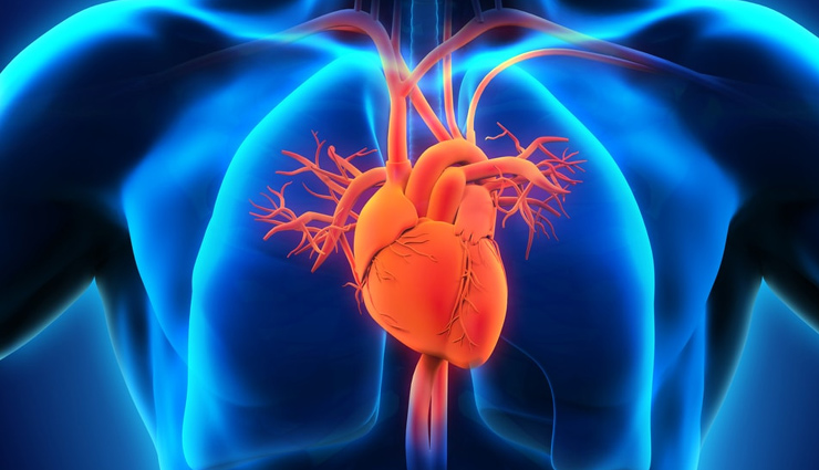 हडि्डयां करे मजूबत, कब्ज को रखे दूर, आलू बुखारे के सेवन से होंगे ये कमाल के फायदे aalu bukhara ke fayde,aalu bukhara fruit,aalu bukhara in english,aalu bukhara in hindi,aalu bukhara benefits in hindi,peaches,aalu bukhara benefits,plum fruit,aalu bhukhara healthy food,health news,plum benefits,plum benefits in hindi