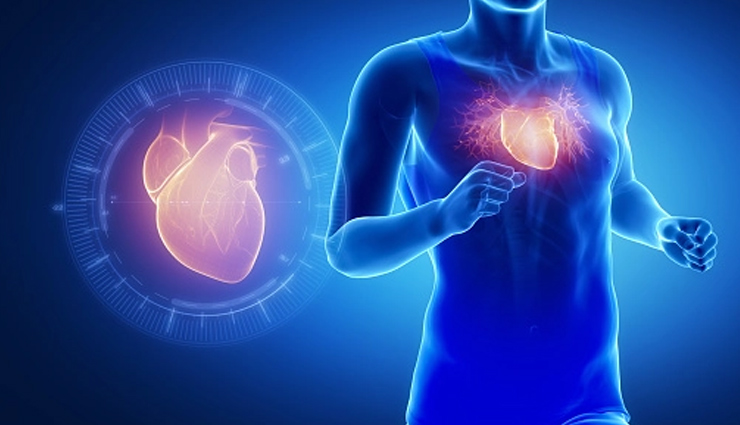 health benefits of chia seeds,nutritional benefits of chia seeds,chia seeds for weight loss,chia seeds and digestion,chia seeds for heart health,chia seeds and antioxidants,chia seeds for skin health,chia seeds for hair health,chia seeds and omega-3 fatty acids,chia seeds and protein,chia seeds and fiber,chia seeds for energy,chia seeds and blood sugar,chia seeds and cholesterol,chia seeds for bone health,chia seeds and hydration,chia seeds and minerals,chia seeds and vitamins,how to use chia seeds,chia seeds recipes