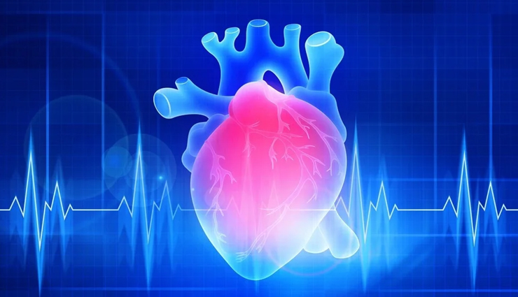 garlic health benefits,proven benefits of garlic,garlic for heart health,garlic and immune system,garlic for lowering blood pressure,garlic cholesterol benefits,garlic antioxidants,garlic anti-inflammatory properties,garlic for weight loss,garlic medicinal uses,garlic and digestion,garlic natural remedy