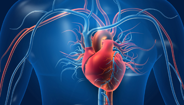 health benefits of black garlic,black garlic for heart health,antioxidants in black garlic,black garlic digestive benefits,black garlic weight management,blood sugar regulation black garlic,black garlic anti-cancer properties,black garlic for immunity,black garlic for skin health,black garlic brain health