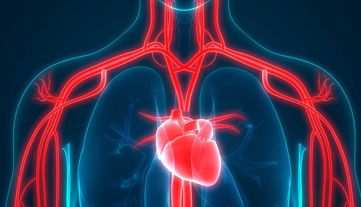coronary artery disease,india suffers coronary artery disease,heart disease,heart problem,heart healthy tips in hindi