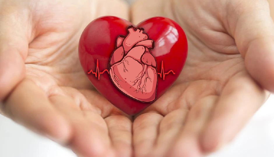 70 साल की उम्र में भी दिल रहेगा तंदरुस्त, इन 5 आदतों को बनाए अपना साथी