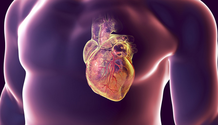 health benefits of milk,milk for bone health,milk for muscle growth,nutrient-rich milk,milk for heart health,milk and weight management,milk for digestive health,milk for skin health,immune support from milk,organic milk benefits