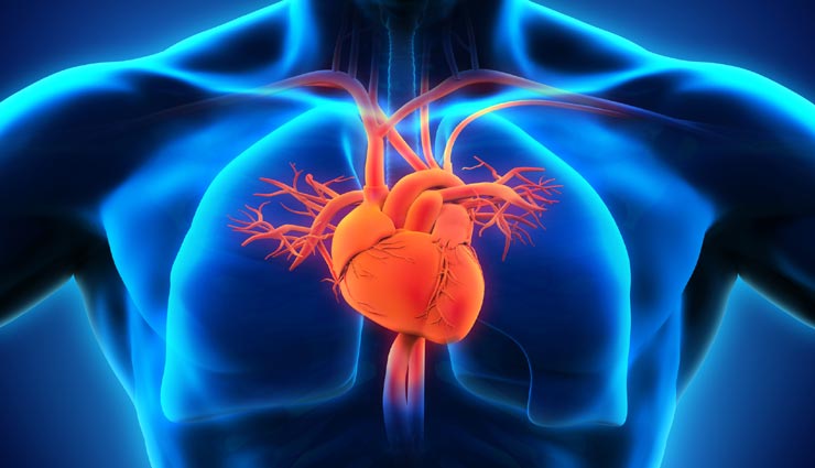 दिल से जुडी है ये रोचक जानकारियां, शायद ही जानते होंगे आप इनके बारे में