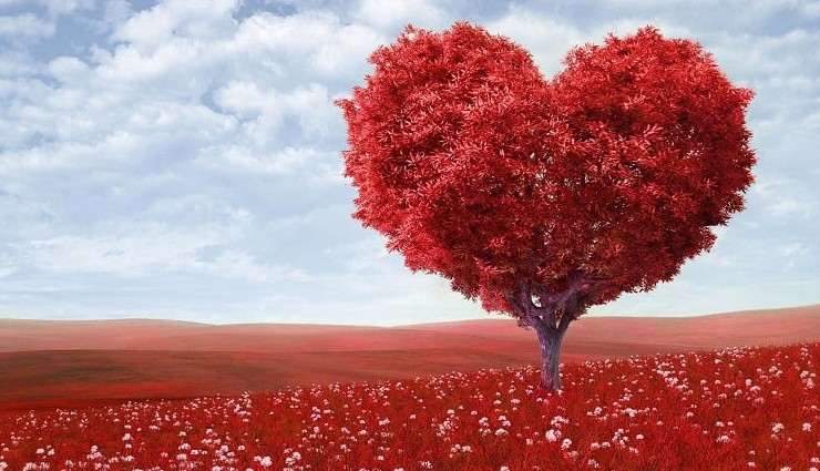 symbol of love,heart symbolism,cupid and arrow,moon and stars meaning,swans as love symbols,red roses signify love,lovebirds and doves,symbolic rings in love,locks and keys symbolize commitment,harp as a love symbol