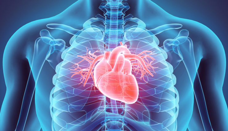 world heart day,world heart day 2022,healthy heart tips,heart health tips for men,men heart care tips,healthy living,Health