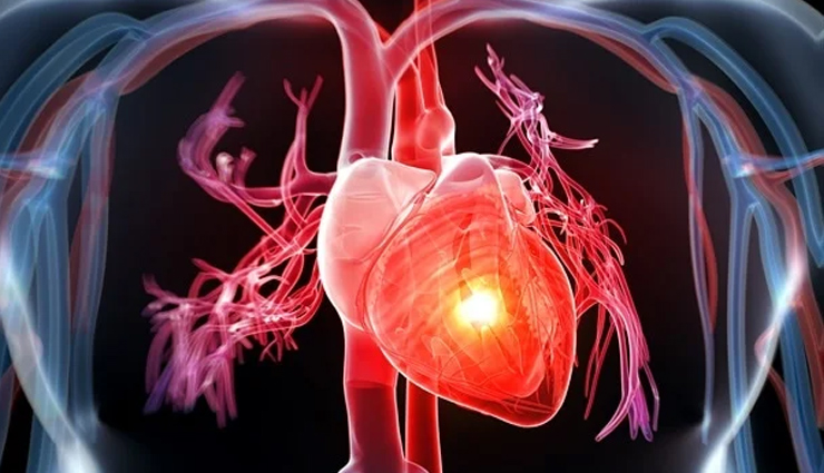 cannabidiol oil,cannabidiol oil health benefits,healthy food cannabidiol oil,cannabidiol oil uses,benefits of cannabidiol oil,benefits of cbd oil,health news,healthy living