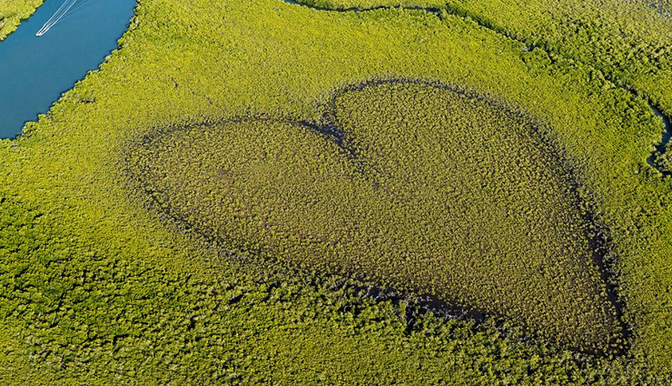 heart shaped landscapes,heart-shaped mangrove,new caledonia,heart reef,australia,isla corazon,ecuador,heart-shaped meadow,uk,heart-shaped island,brasil,meadow in trittau,germany