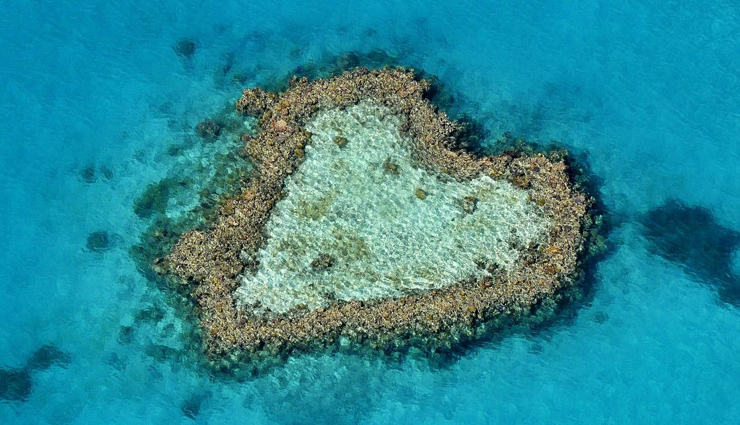 heart shaped landscapes,heart-shaped mangrove,new caledonia,heart reef,australia,isla corazon,ecuador,heart-shaped meadow,uk,heart-shaped island,brasil,meadow in trittau,germany