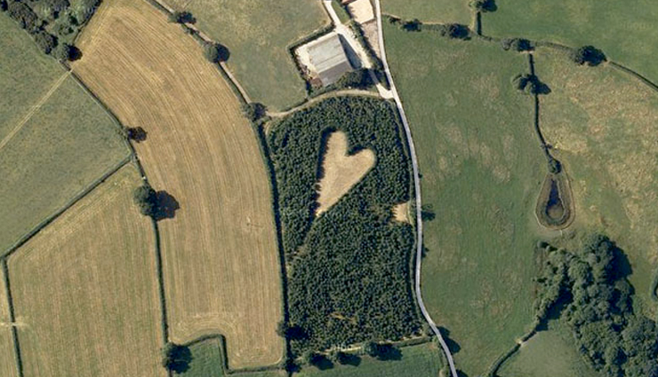 heart shaped landscapes,heart-shaped mangrove,new caledonia,heart reef,australia,isla corazon,ecuador,heart-shaped meadow,uk,heart-shaped island,brasil,meadow in trittau,germany