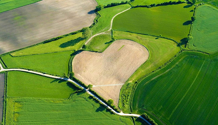 heart shaped landscapes,heart-shaped mangrove,new caledonia,heart reef,australia,isla corazon,ecuador,heart-shaped meadow,uk,heart-shaped island,brasil,meadow in trittau,germany