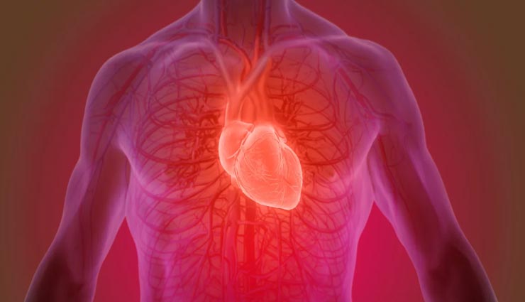 interesting facts,amazing facts,amazing facts of heart,facts of heart