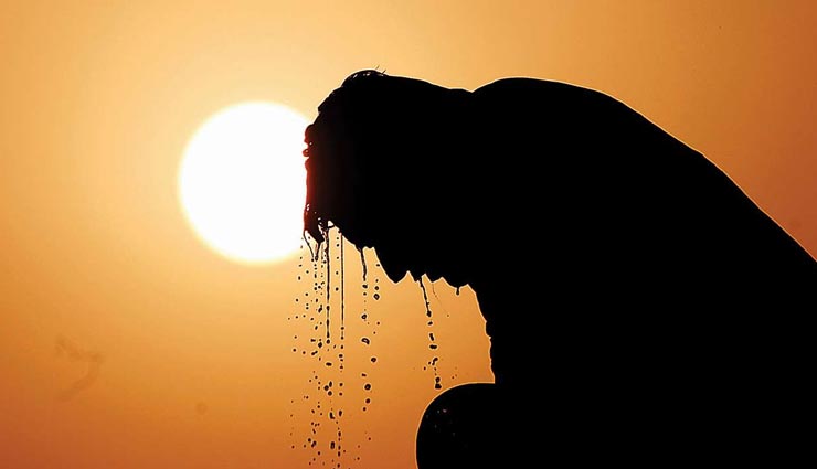 ये 4 एसेंशियल ऑयल करेंगे गर्मी में हीट स्ट्रोक से आपका बचाव