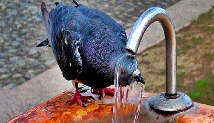 दिल्ली-यूपी, राजस्थान, मध्य प्रदेश समेत कई राज्यों में भीषण गर्मी से हाहाकार, जम्मू में 44.1 डिग्री तापमान, चुरू 50 के पार