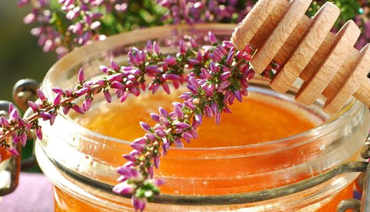 types of honey,honey varieties,different types of honey,honey flavors,honey colors,honey production,health benefits of honey,honey exploration,culinary experiences with honey,honey enthusiasts