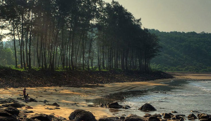 beautiful beaches in maharashtra,best beaches in maharashtra,maharashtra beach destinations,top beaches in maharashtra,maharashtra beach tourism,scenic beaches maharashtra,maharashtra coastal travel,best coastal spots maharashtra,maharashtra beach getaways,beaches to visit in maharashtra