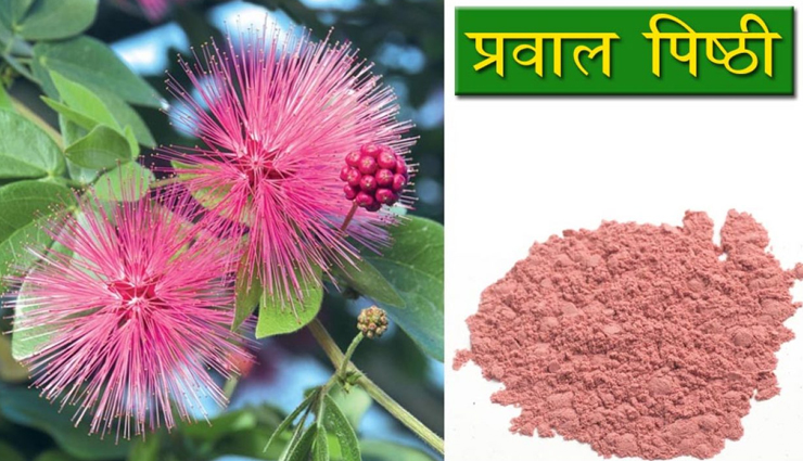 ayurvedic height increase solutions,height-boosting ayurvedic remedies,ayurvedic products for taller stature,height enhancement ayurvedic treatments,natural ayurvedic remedies for height,ayurvedic supplements for increased height,herbal solutions for height growth,ayurvedic medicines for height gain,height-boosting herbs in ayurveda,ayurvedic formulas for better height,ayurvedic remedies for height growth,height-increasing ayurvedic medicines,ayurvedic herbs for height enhancement,ayurvedic formulations for taller stature,ayurvedic solutions for better height,best ayurvedic products for height gain,ayurvedic treatments for improved height,natural ways to increase height in ayurveda,ayurvedic approaches to boost height,ayurvedic supplements for height development,herbal remedies for height increase in ayurveda,ayurvedic techniques for height enhancement