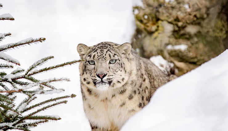 beautiful places in india,peaceful places in india,india tourism,tourist places in india,travel,travel guide