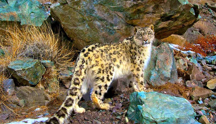 hemis national park,facts about hemis national park,places to visit near hemis national park