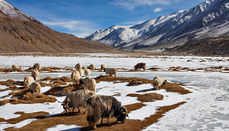 places to visit in ladakh,top destinations in ladakh,pangong lake attractions,thiksey monastery visit,magnetic hill tour,khardung la pass adventure,markha valley trekking,tso moriri lake sights,hemis national park wildlife,nubra valley travel guide,spituk gompa visit,alchi village experience,ladakh travel guide,must-see spots in ladakh,himalayan adventure ladakh