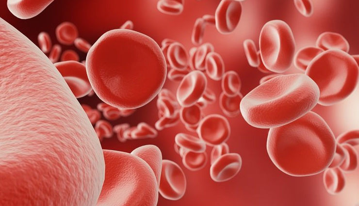 आपको सालभर हेल्दी रखेगा ये ड्राईफ्रूट, जानें इसके 7 फायदे figs,figs health benefits,health benefits of figs,anjeer benefits,anjeer benefits in hindi,anjeer ke fayde hindi mein,Health tips