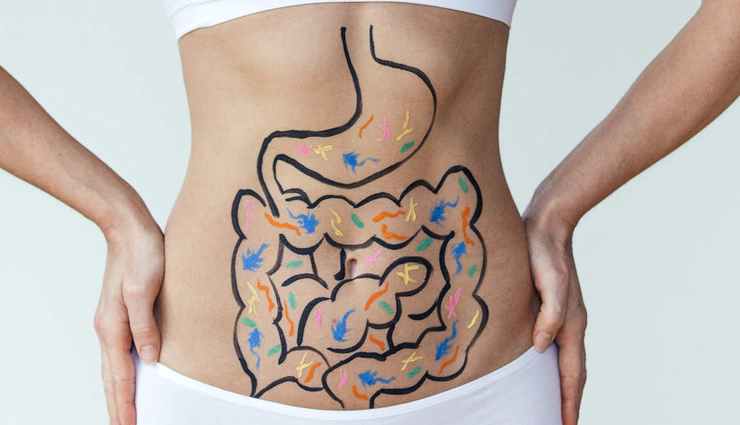 hemp seeds,health benefits of hemp seeds,Health tips,fitness tips