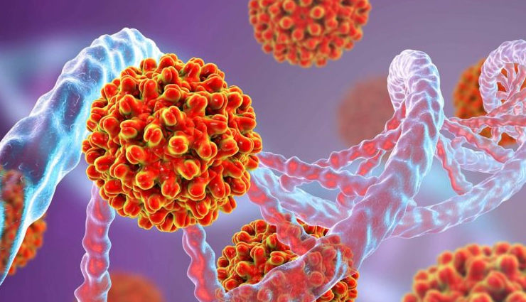 hepatitis b,natural remedies for hepatitis b,Health,liver,health news