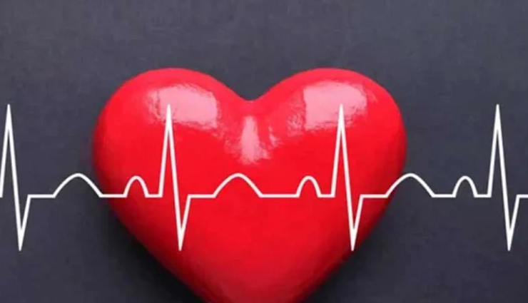 गर्मी में तोरई खाना है स्वास्थ्यप्रद, दूर करती है पानी की कमी शरीर को रखती है ठंडा health benefits of ridge gourd,nutritional advantages of ridge gourd,ridge gourd and its medicinal properties,ridge gourd for weight loss,ridge gourd and blood sugar management,ridge gourd in ayurveda,ridge gourd for digestive health,ridge gourd antioxidants and their effects,ridge gourd vitamins and minerals,ridge gourd for skin and hair health,ridge gourd recipes for health,ridge gourd detoxification benefits,ridge gourd for immune system support,ridge gourd and heart health,ridge gourd in traditional medicine