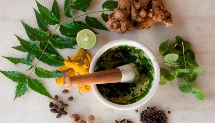 hair care tips,beauty tips for men,home remedies for hair loss,home remedies for alopecia,beauty tips for women,hair care tips for men,hair care tips for women