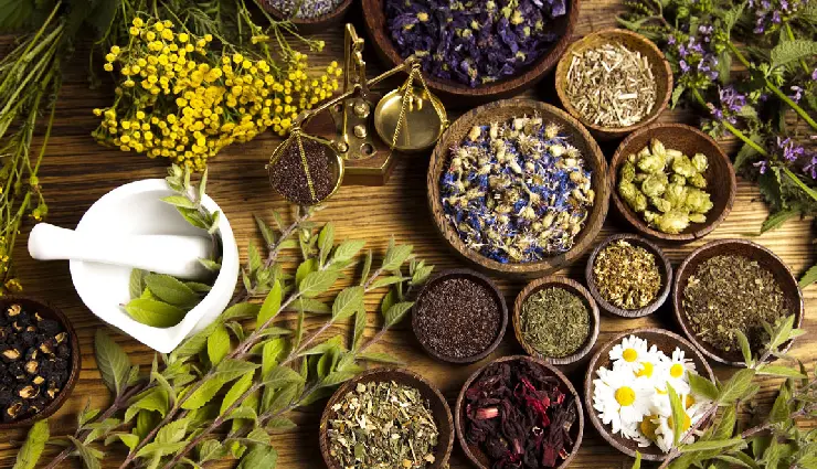 seasonal allergies,allergy symptoms,climate and health,pollen allergy,monsoon diseases,weather-related health issues,indian seasons,summer heat stroke,winter health tips,allergy prevention tips,humidity and allergies,managing allergies naturally,seasonal health care,environmental allergy triggers