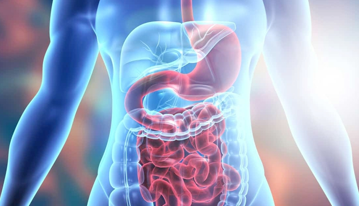 essential herbs for health,Health tips,fitness tips