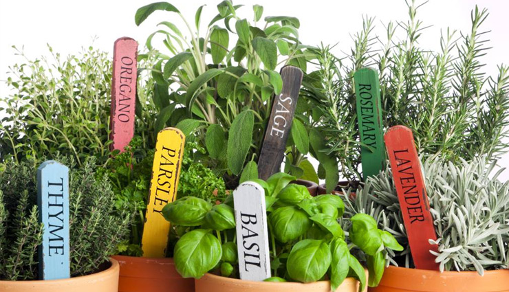 menstrual cramps,menstrual pain,period pain,painful periods,cramping pain,menstruation,tips to reduce menstrual pain,home remedies,home remedies to reduce menstrual pain,Health,Health tips,simple health tips,quick health tips