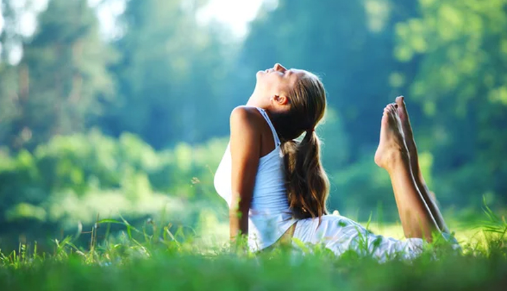 essential herbs for health,Health tips,fitness tips