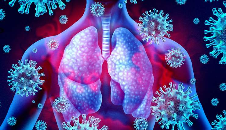 essential herbs for health,Health tips,fitness tips